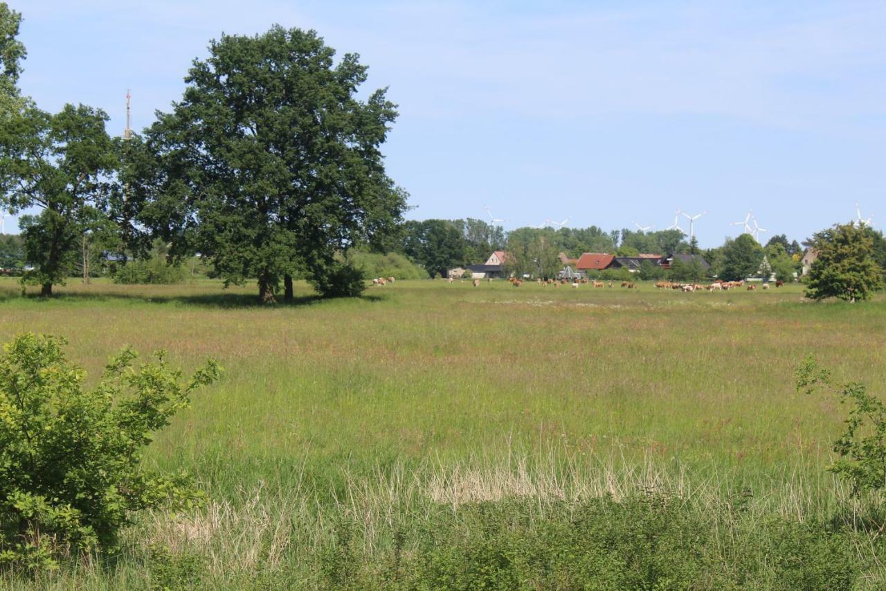 Spreewald Ferienwohnung Luebben Dış mekan fotoğraf