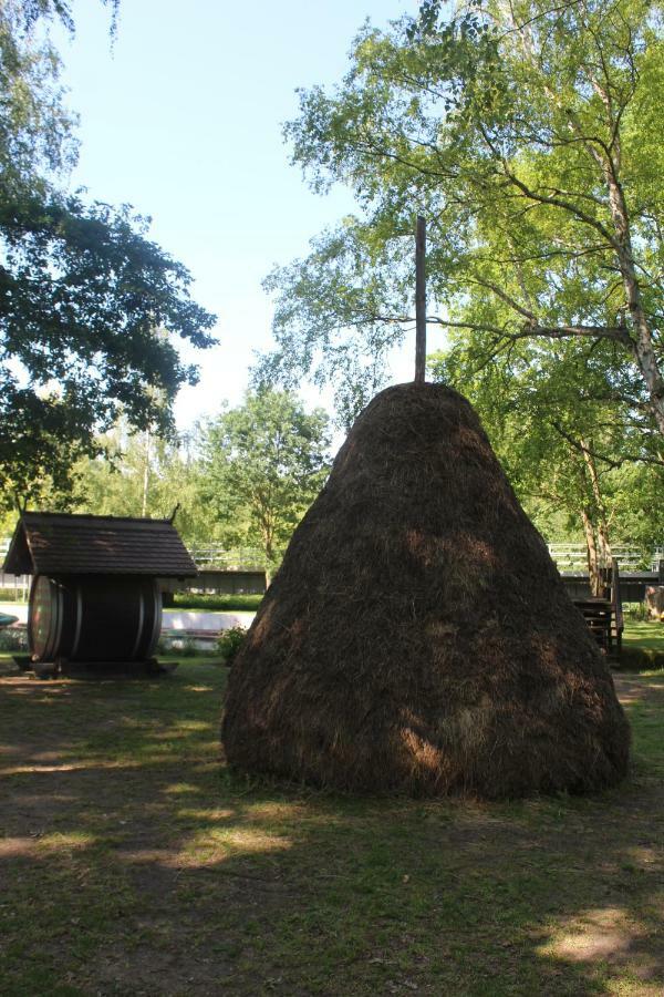 Spreewald Ferienwohnung Luebben Dış mekan fotoğraf